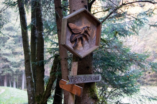  Die Abzweigung zum Biotop