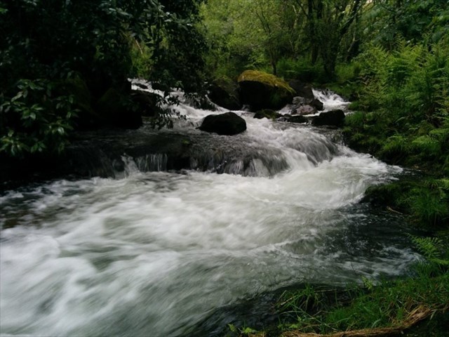 Muiño Couso Río