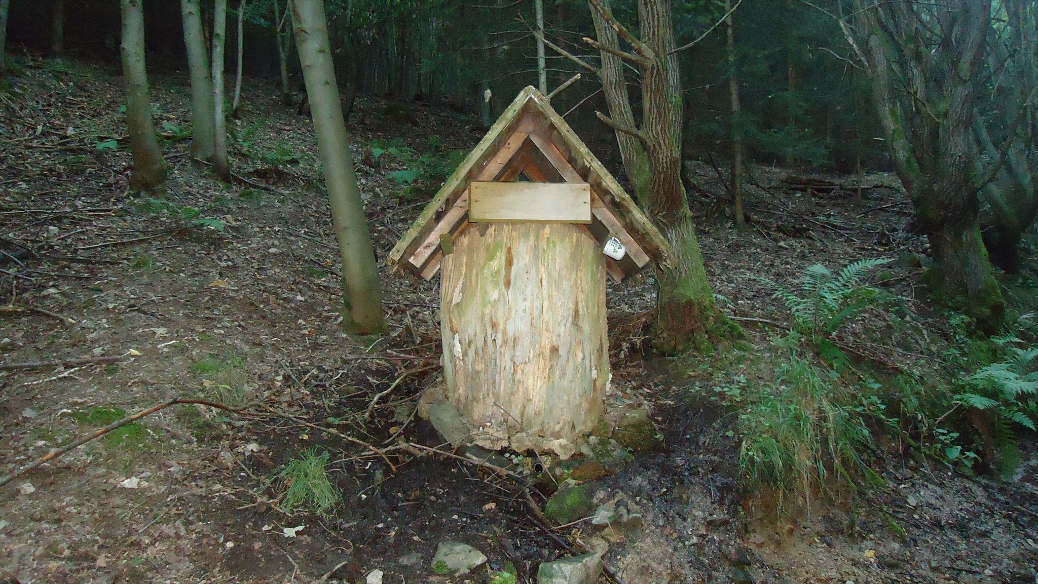 Studánka pod Jedlí