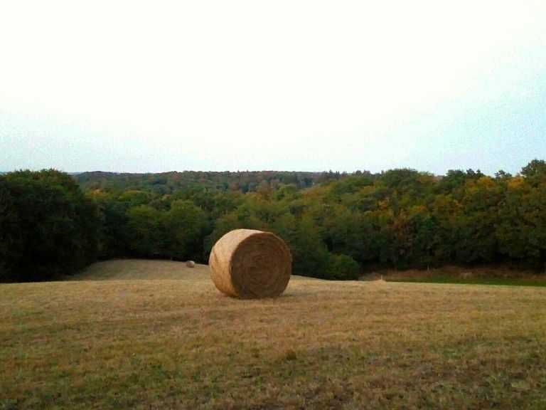 Aussicht vom Cache