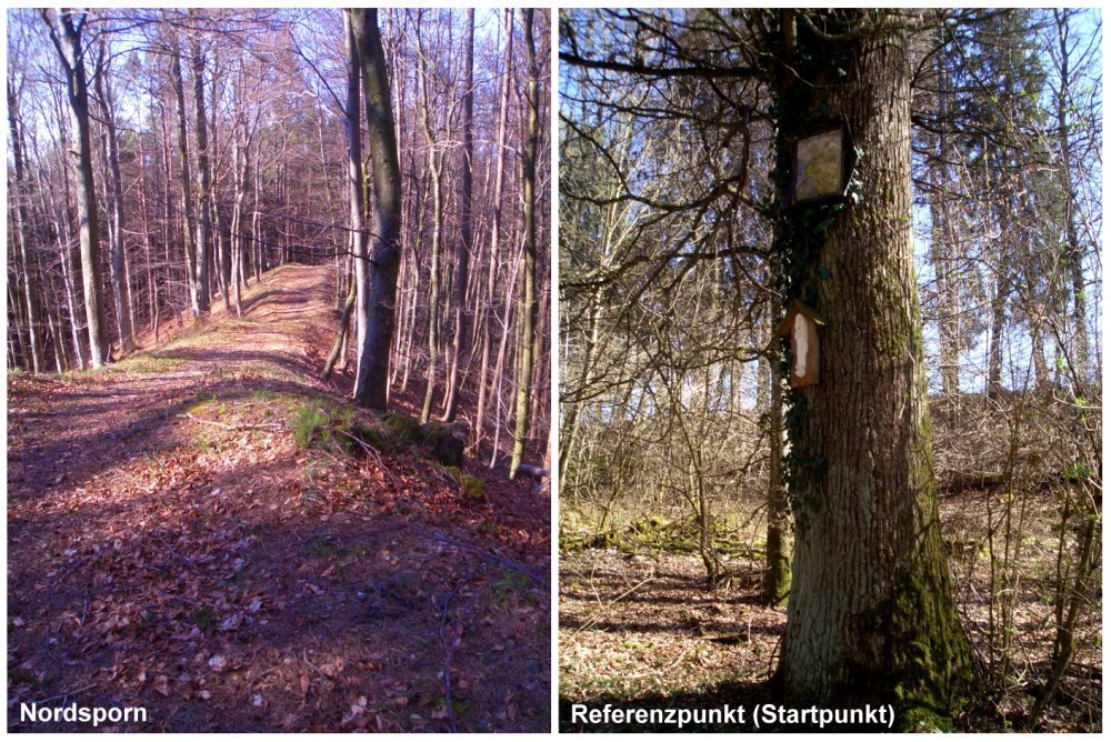 Nordsporn Kastenbuehl