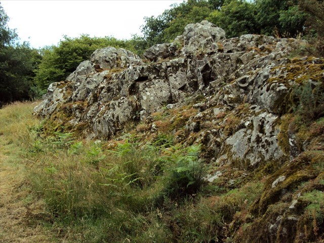 Site de Quelfennec à Plussulien