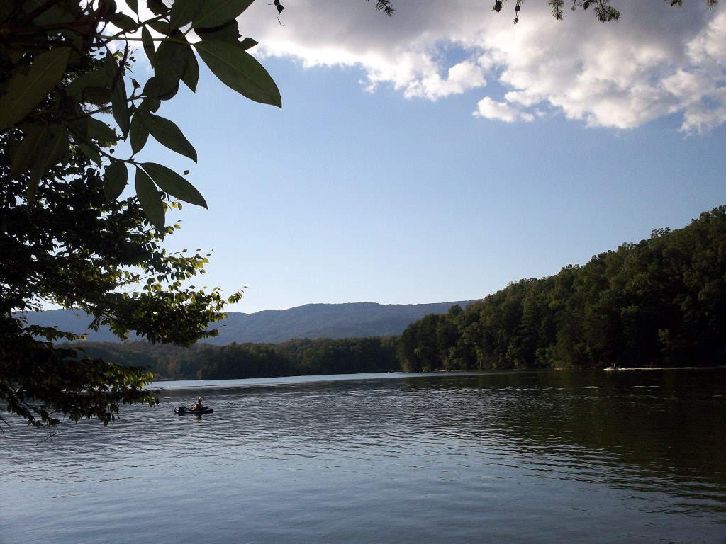GC6M1WD Stumped on Lake Adger (Traditional Cache) in North Carolina