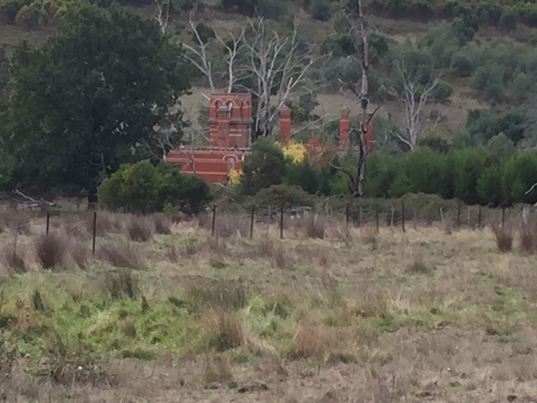  photo fce7400b-2345-4503-82e7-3c902e0d6947.jpg