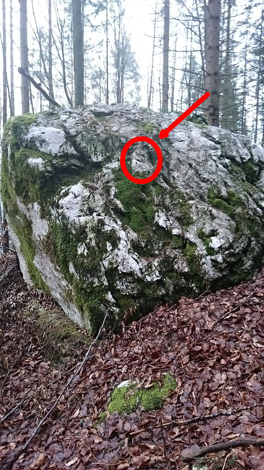 Aufgabe 3