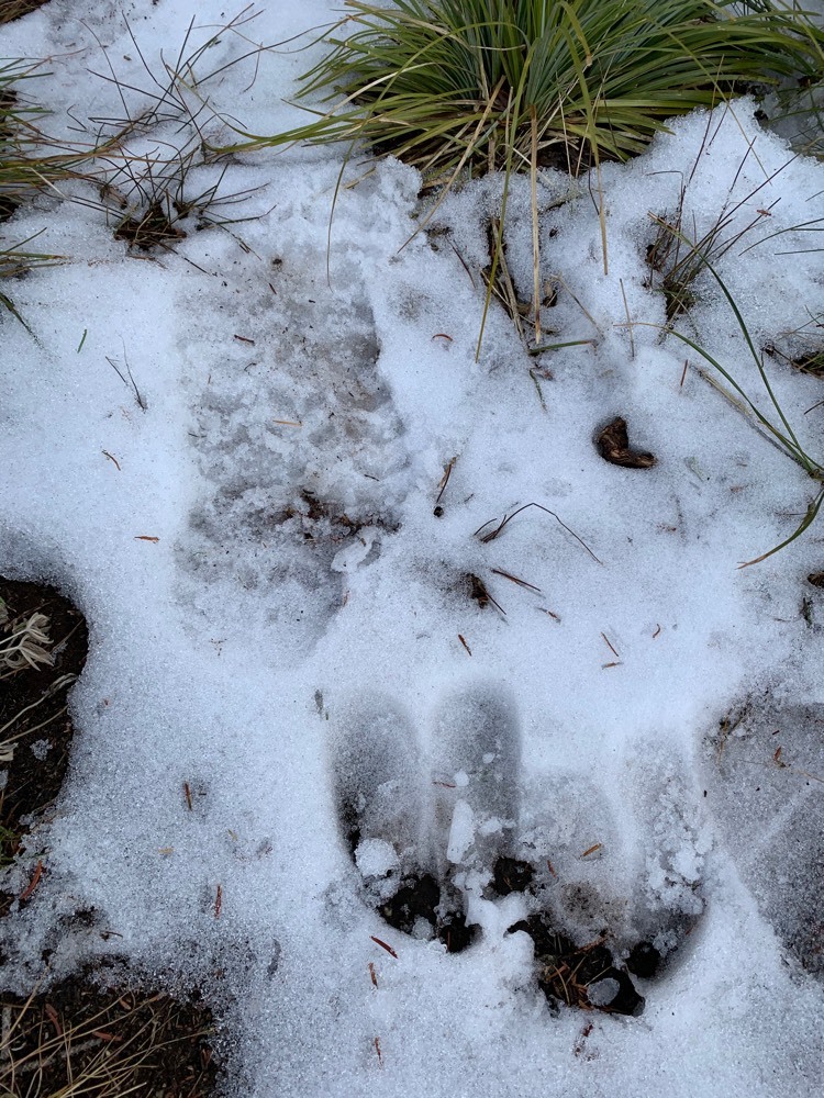 SPIDER MAN RELEASE DATE PUERTO RICO