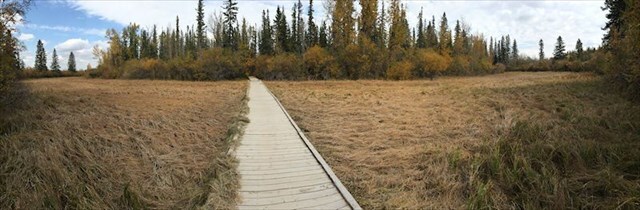 Seasonal wetland Seasonal wetland