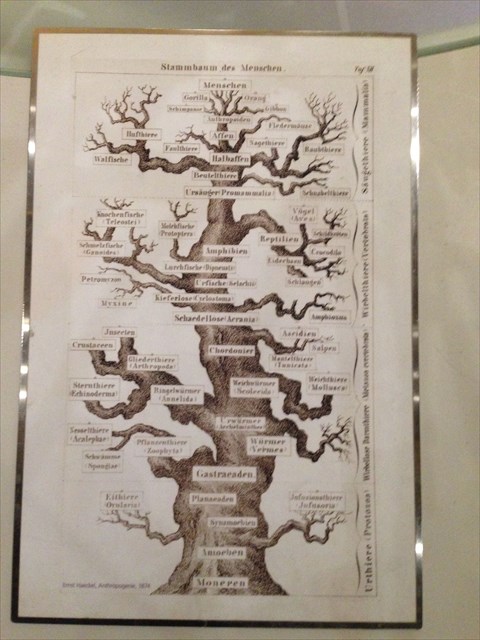 fea158b1-2494-4b14-90d2-0f300095d60f_l.jpg (480×640)