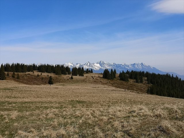 Výhľady na Vysoké Tatry cestou na Panskú hoľu 8.5.2020