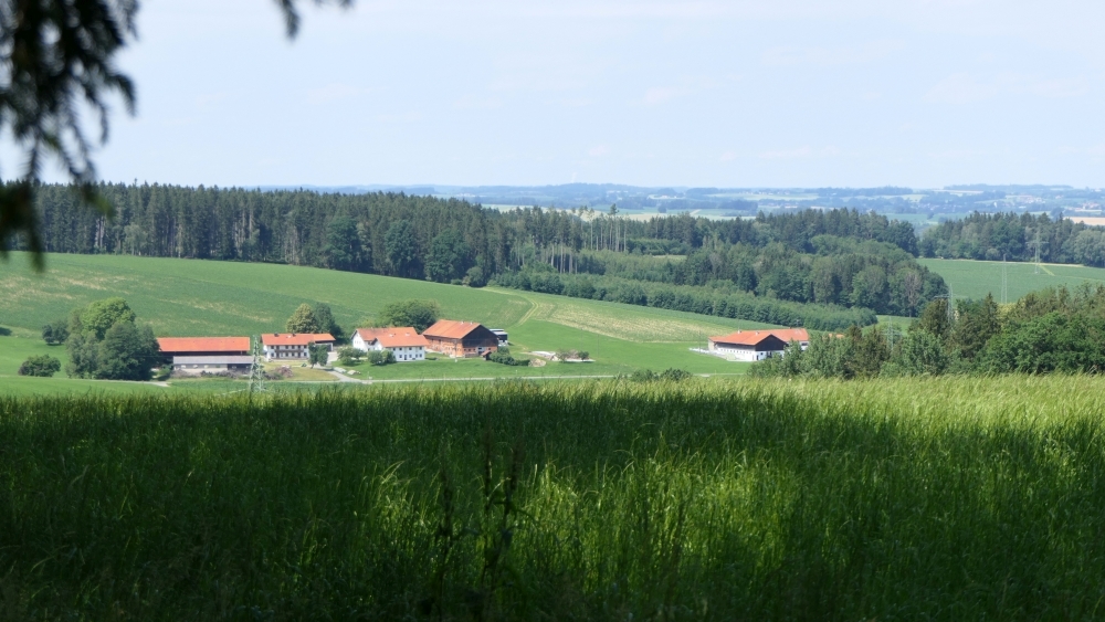 Blick aufs Rimbachtal