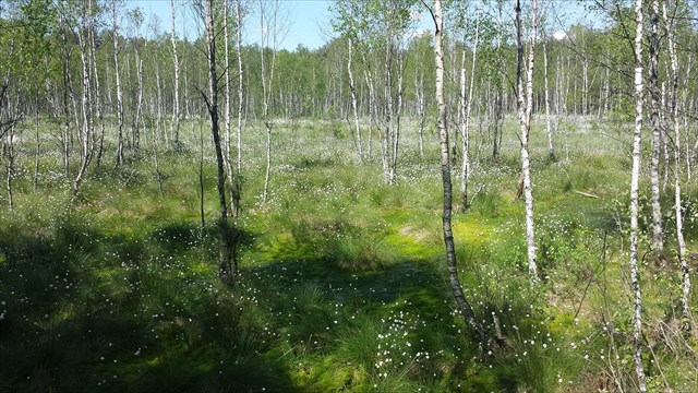 River