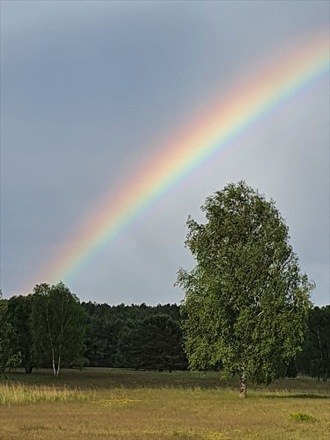 Regenbogen