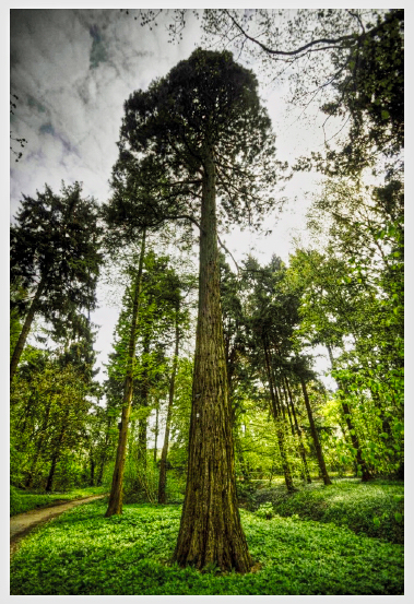 Gimbornhof 8 Gimbornhof 8