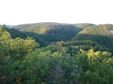 Burg Waldeck: Blick zur Unterburg