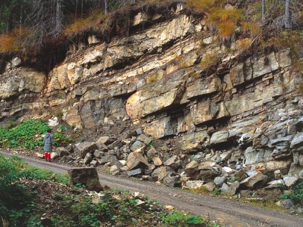 Plastnat andezitni tuf pri Primožu nad Ljubnim.