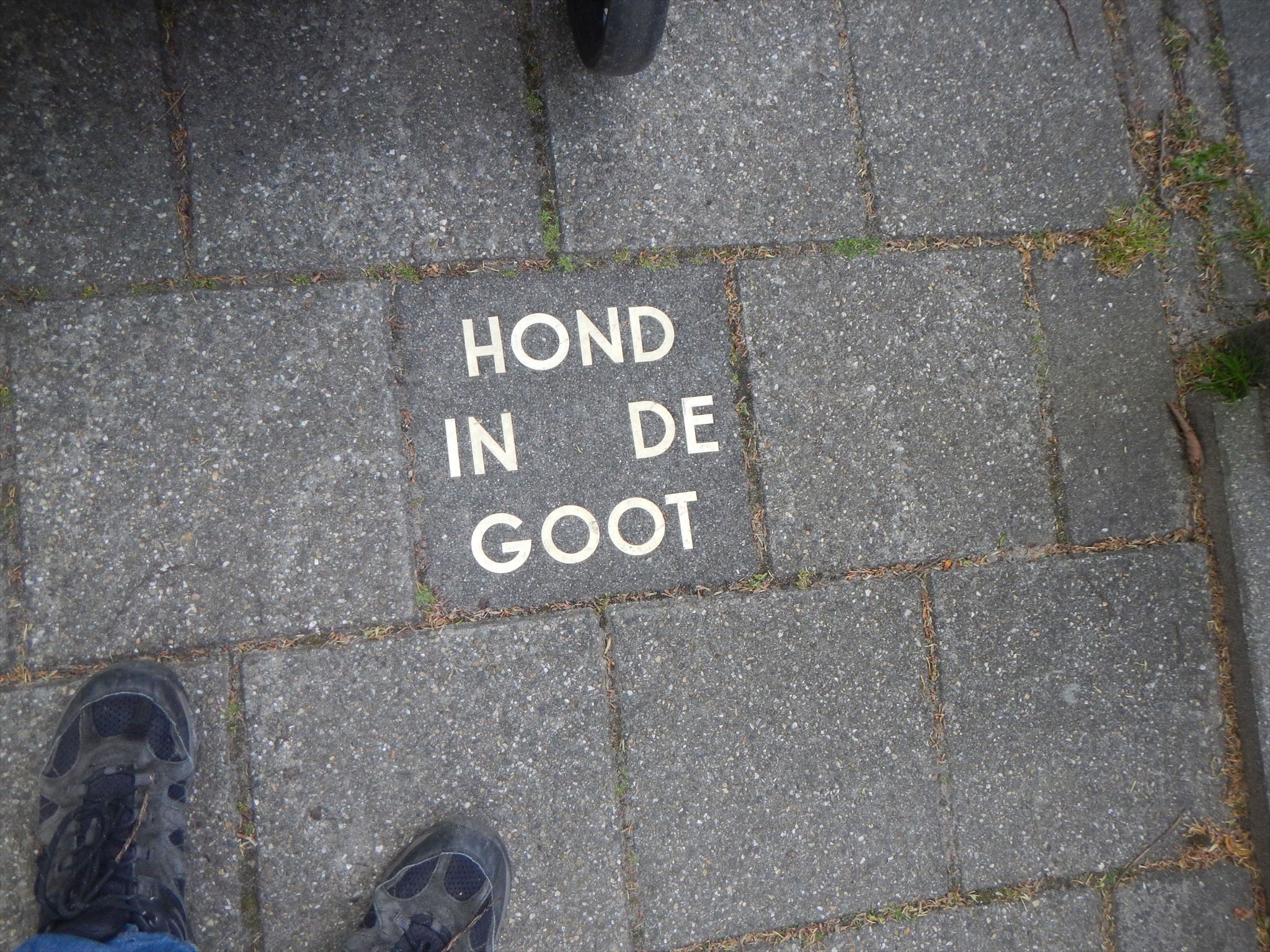 1a0d6ea7-4e7b-444d-88b9-8d698d59d844.jpg