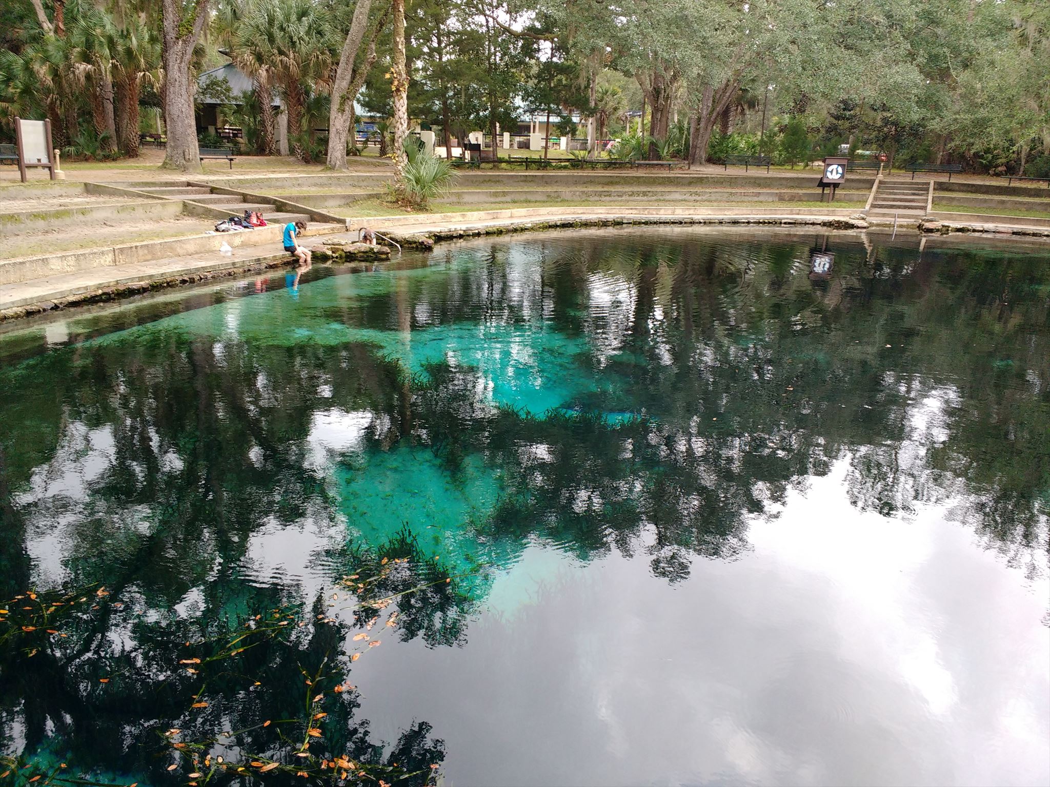 Juniper Springs Ocala National Forest FL Natural Springs On 