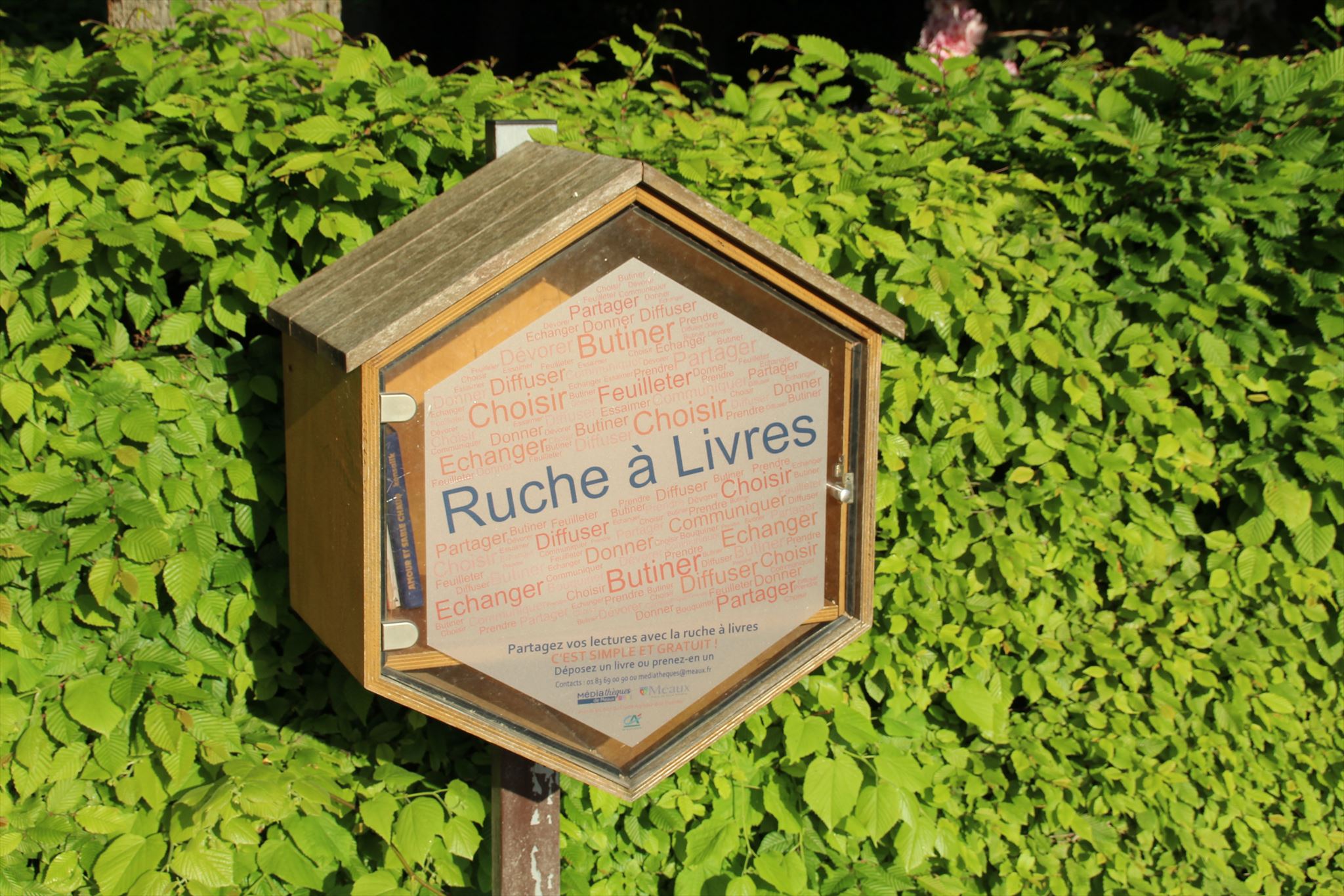 Livre Scolaire Ancien : La Ruche Aux Livres – Lecture CE2