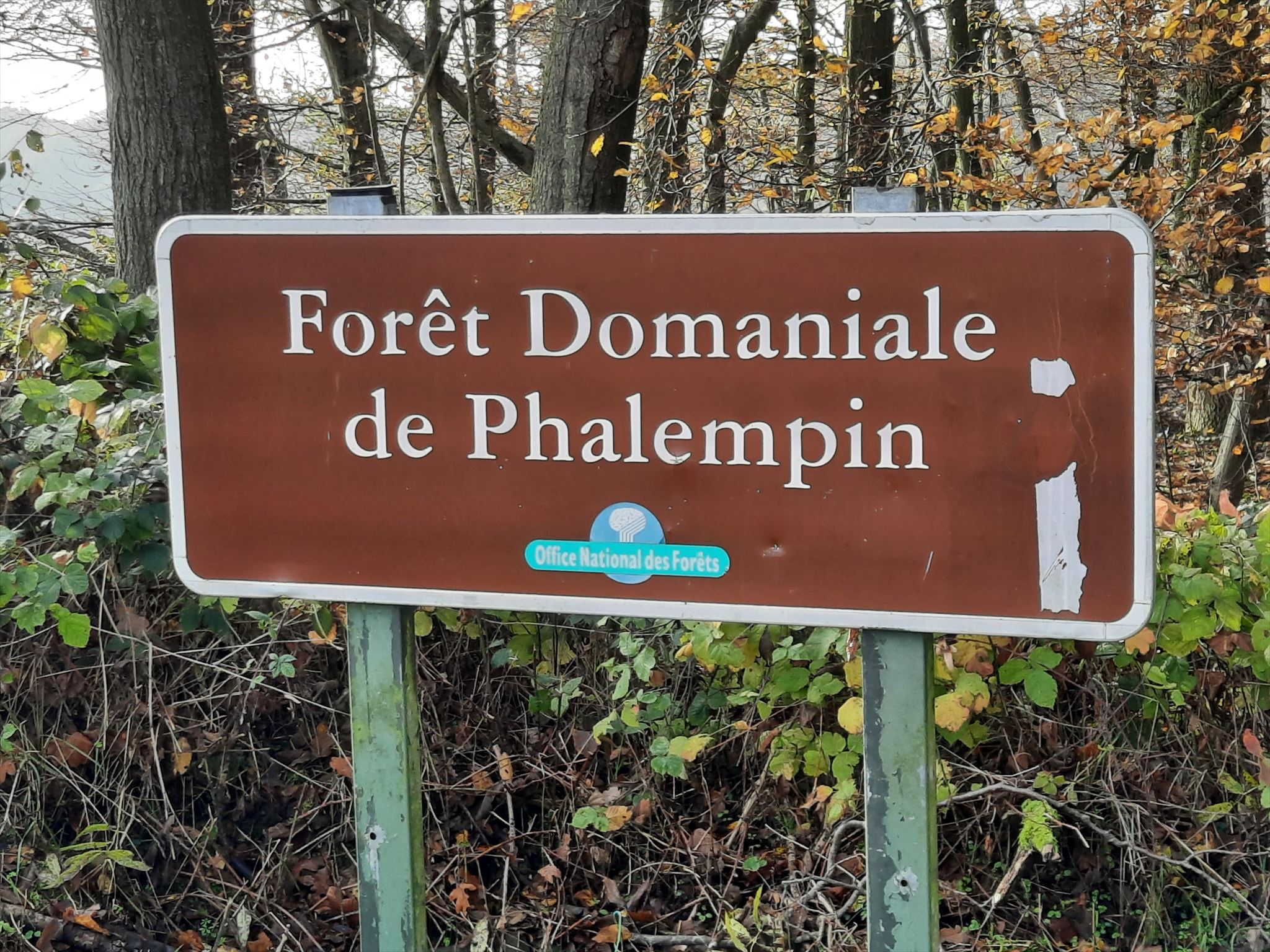 Forêt domaniale de Phalempin Phalempin, France Public Access Lands