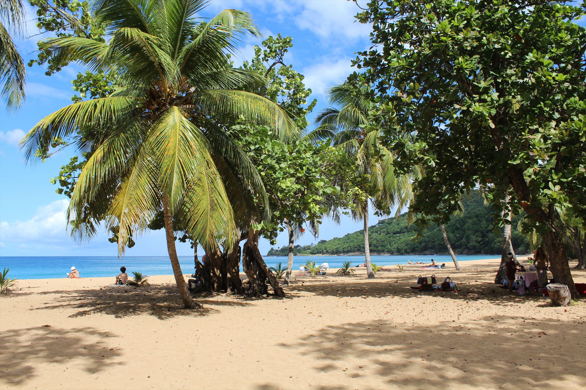Plage de Clugny Deshaies, Guadeloupe Wikipedia Entries on