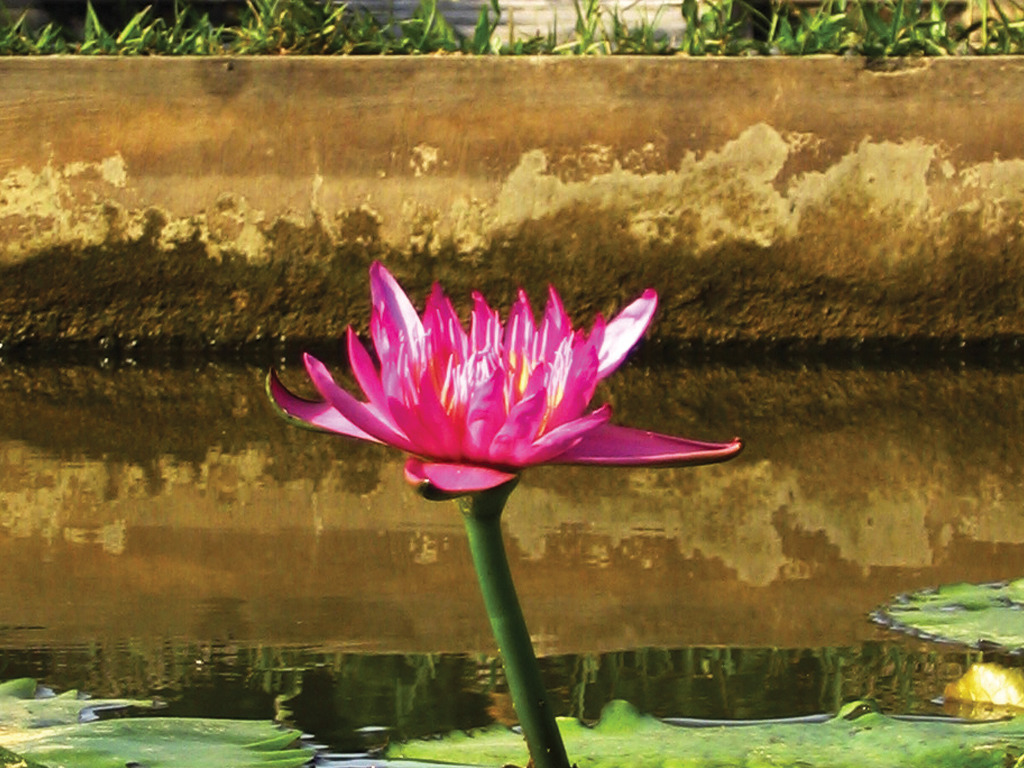Best of Vietnam & Cambodia with Intrepid Travel