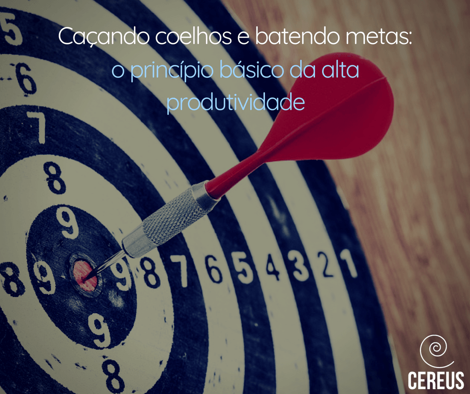 Caçando coelhos e batendo metas o princípio básico da alta produtividade Caçando coelhos e batendo metas o princípio básico da alta produtividade