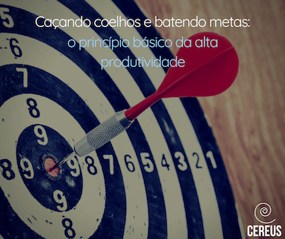 Caçando coelhos e batendo metas: o princípio básico da alta produtividade