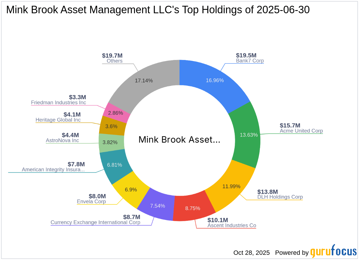 Mink Brook Asset Management LLC Increases Stake in DLH Holdings