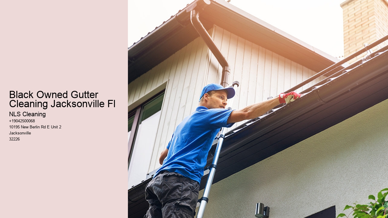 Black Owned Gutter Cleaning Jacksonville Fl