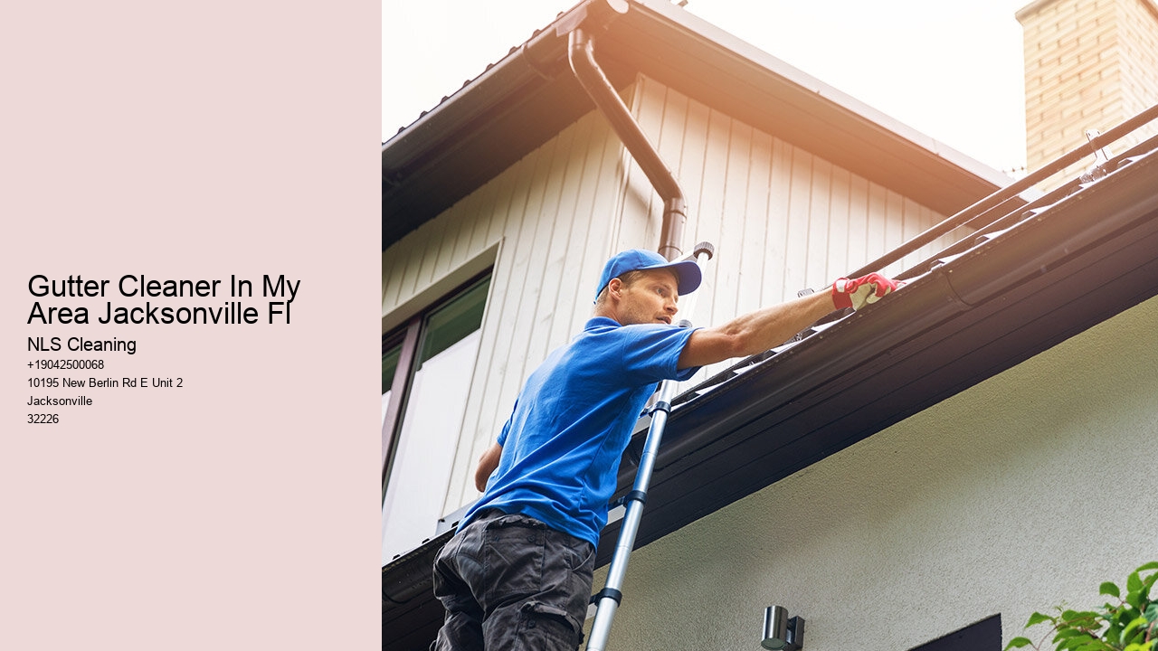 Gutter Cleaner In My Area Jacksonville Fl