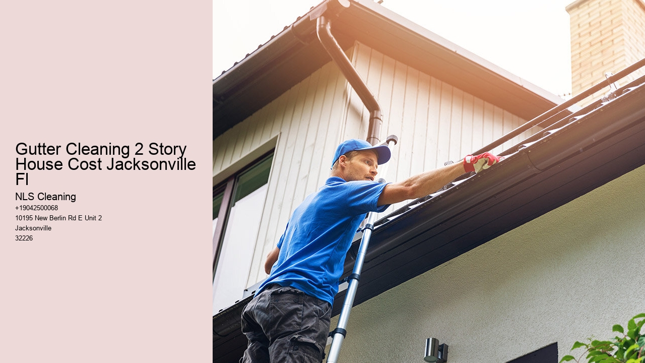 Gutter Cleaning 2 Story House Cost Jacksonville Fl