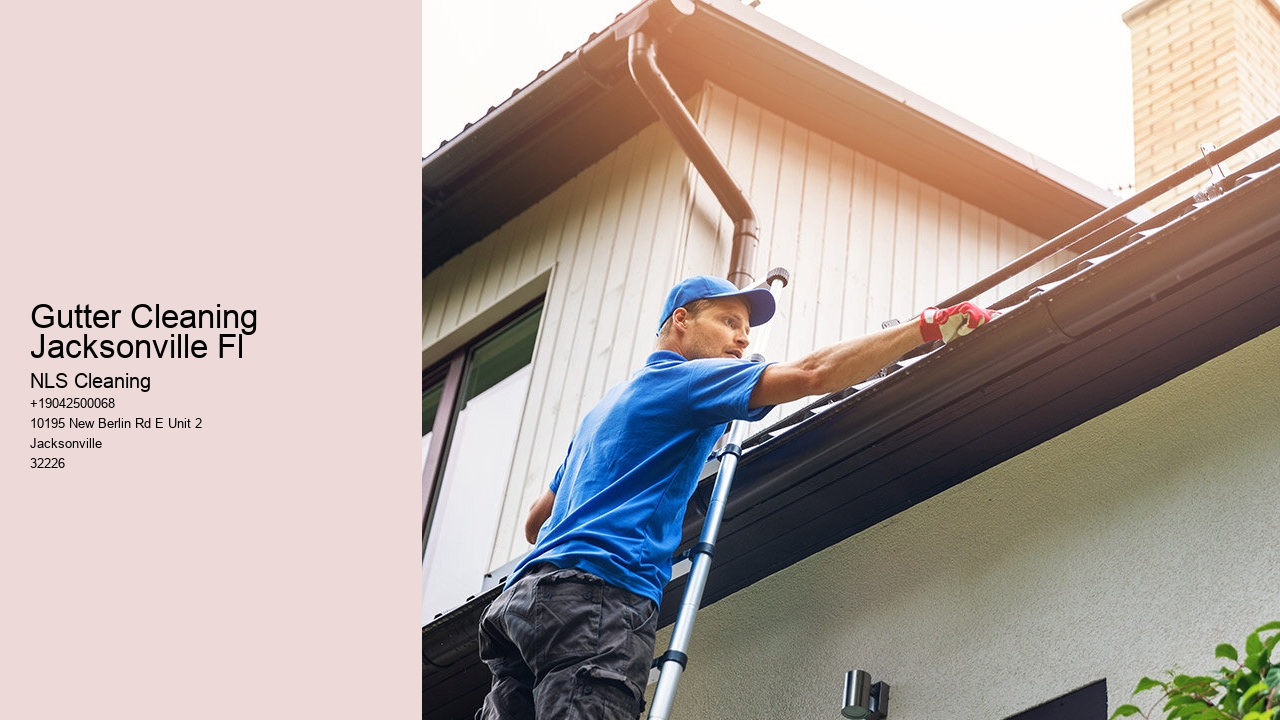 Gutter Cleaning Jacksonville Fl