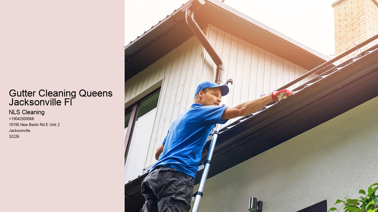 Gutter Cleaning Queens Jacksonville Fl