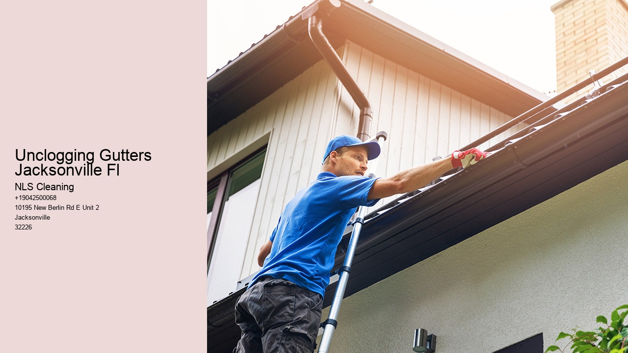Unclogging Gutters Jacksonville Fl