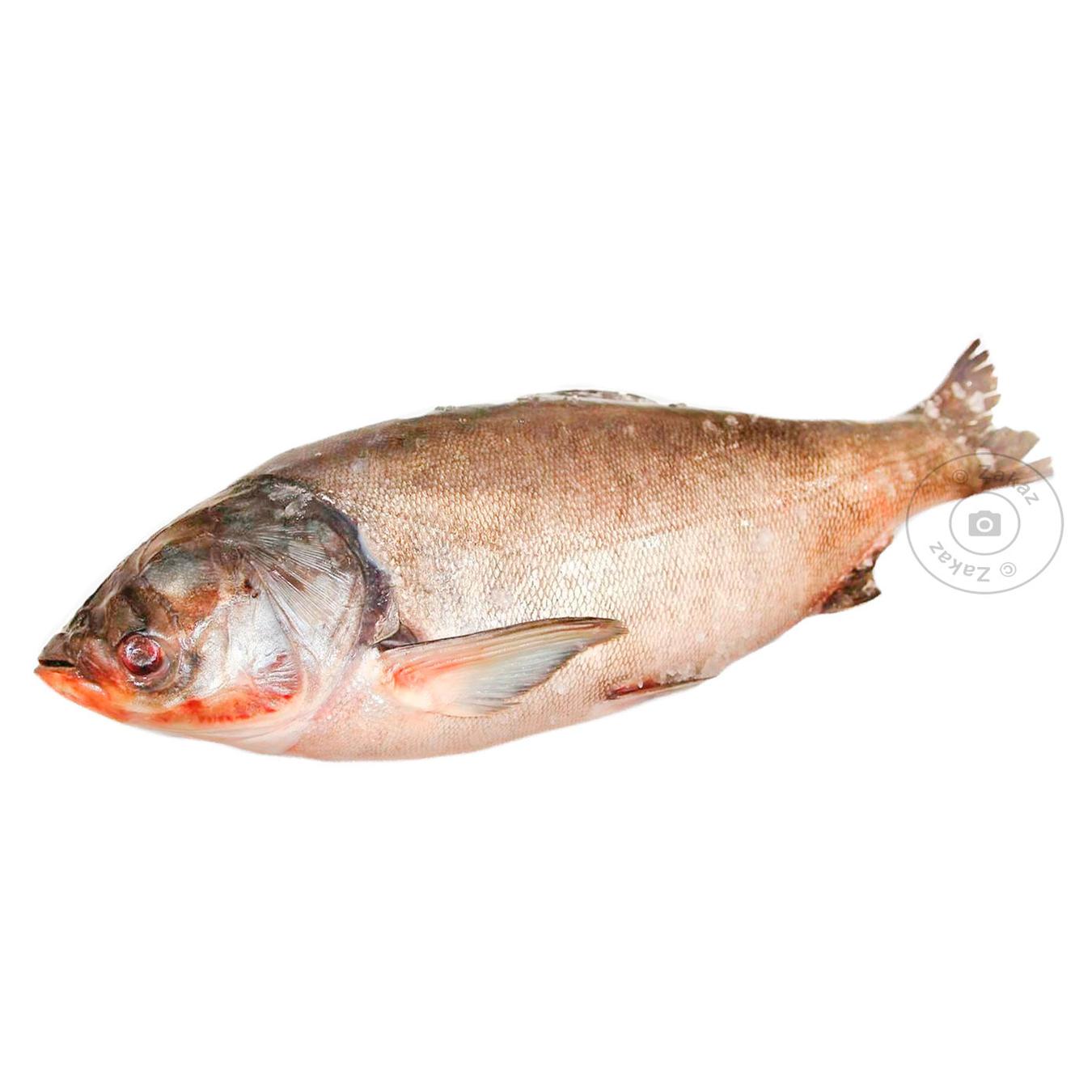 

Товстолоб 2-5кг