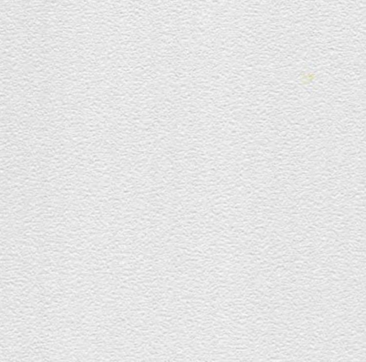 1/2 in 2 ft x 2 ft CertainTeed Vinylrock Trim Panel / White 1142CRF