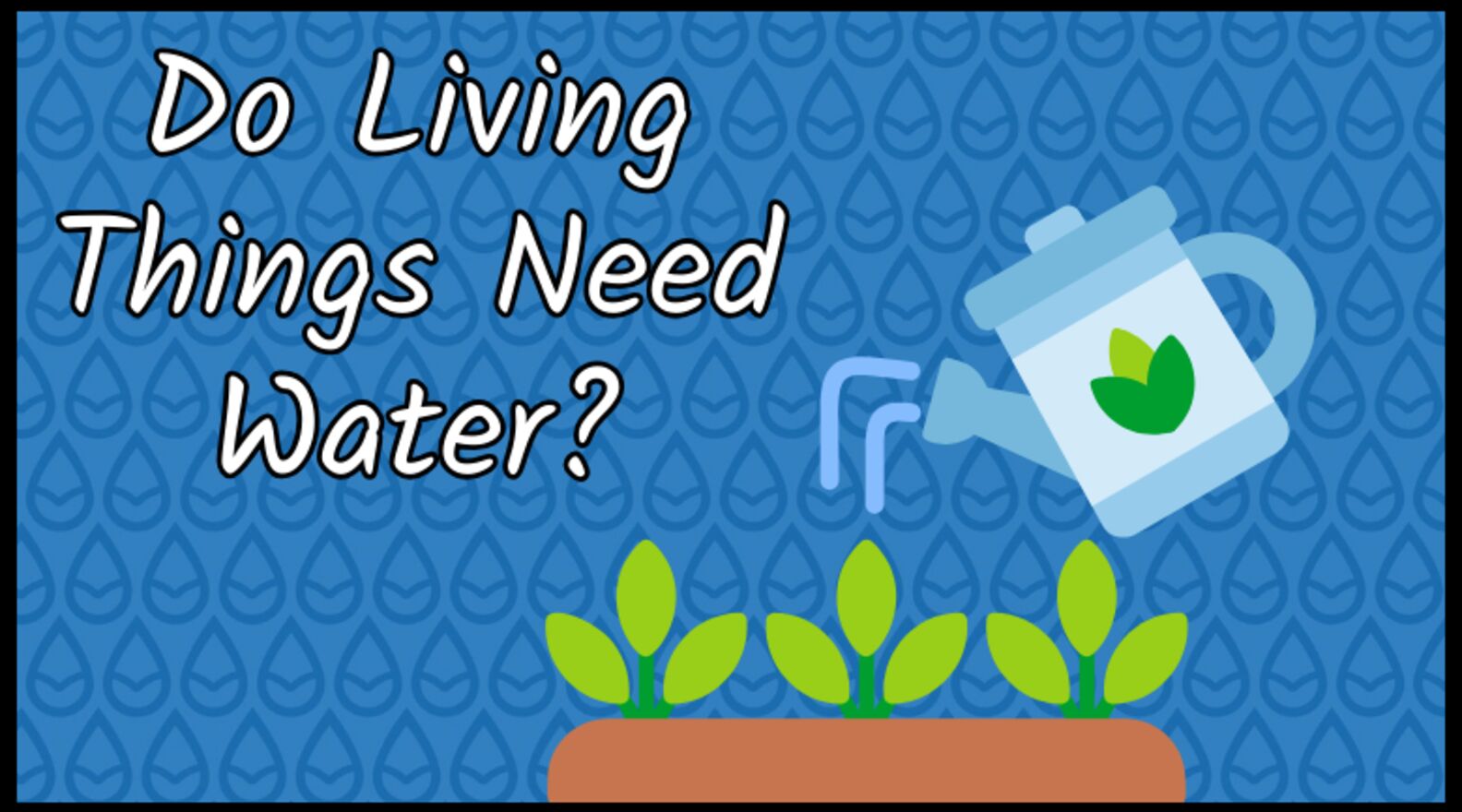 H2O for Life Do Living Things Need Water?