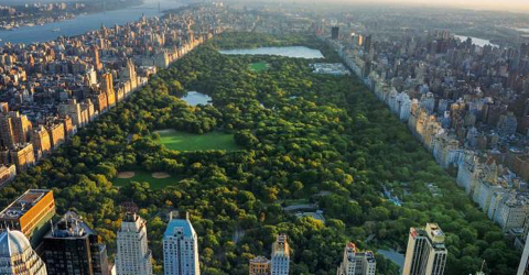 Amazing green urban escapes