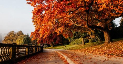 7 spots for fall foliage