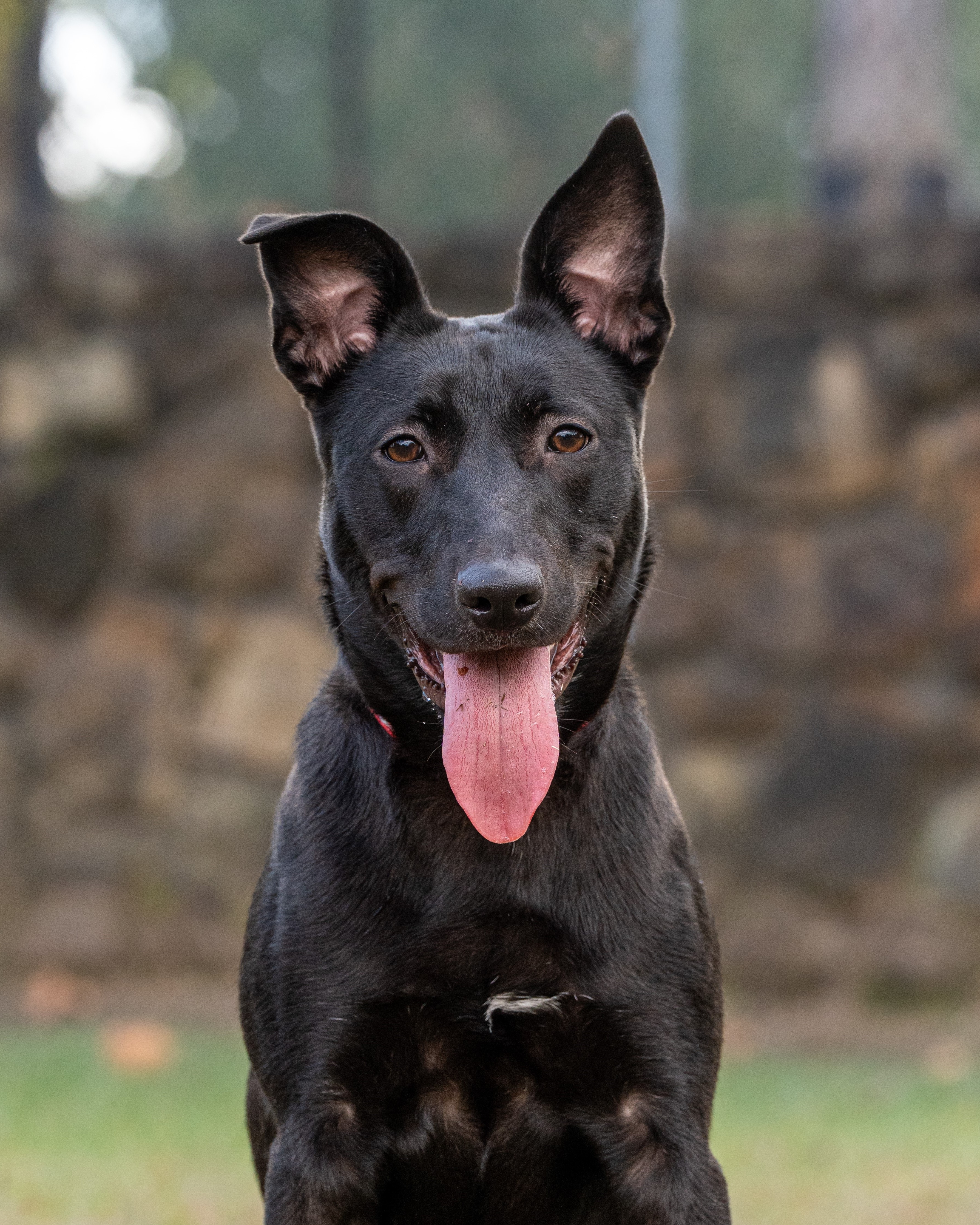 002109bc473c3fba566336c1f9ff25af1dc31ab0