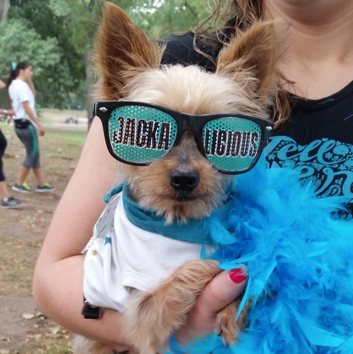 Nicole's Fundraising Page for TEAM JACKALICIOUS
