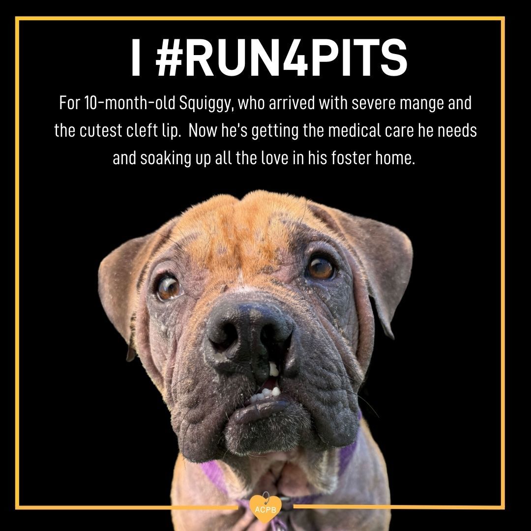 03e6ad58d68ab04a2323bebda8eebe64b9e5341f