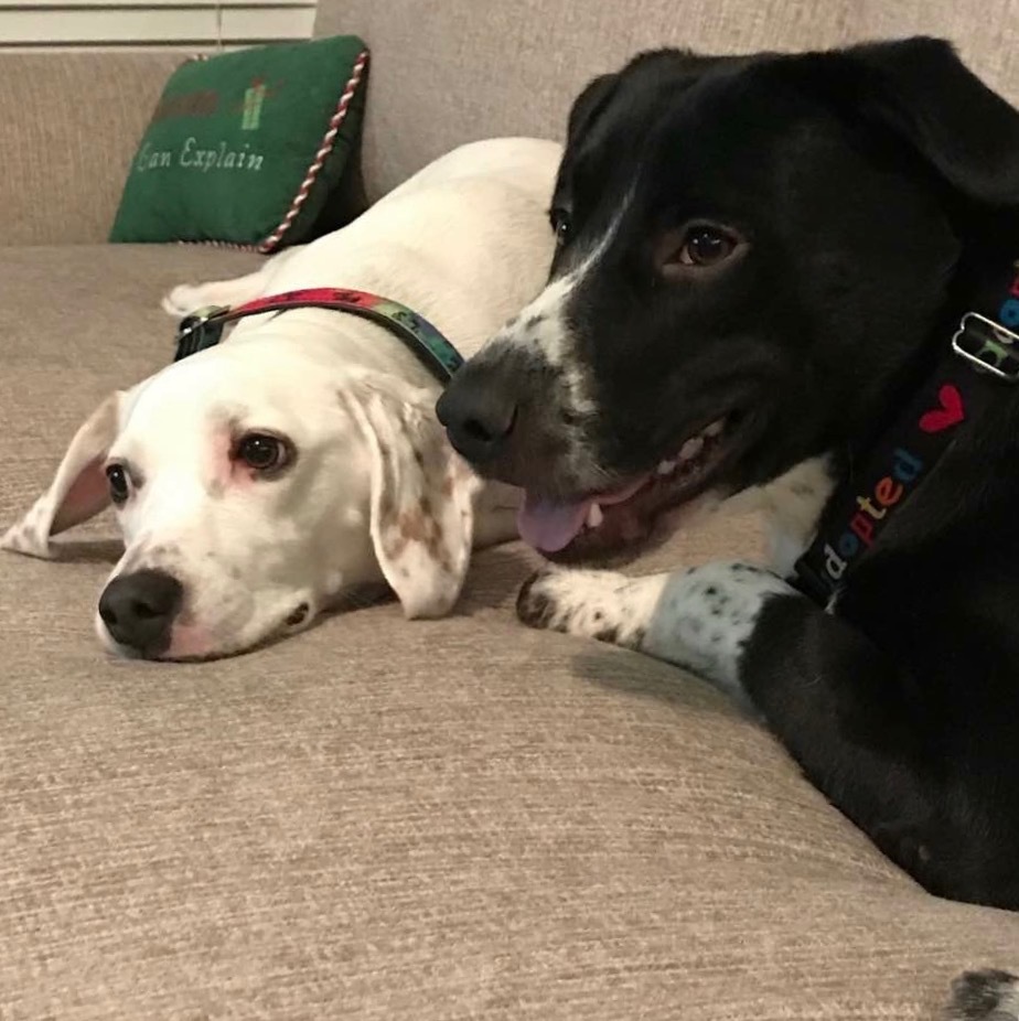 04a1228d792edae282b2f24be9e7f26a782cc00f