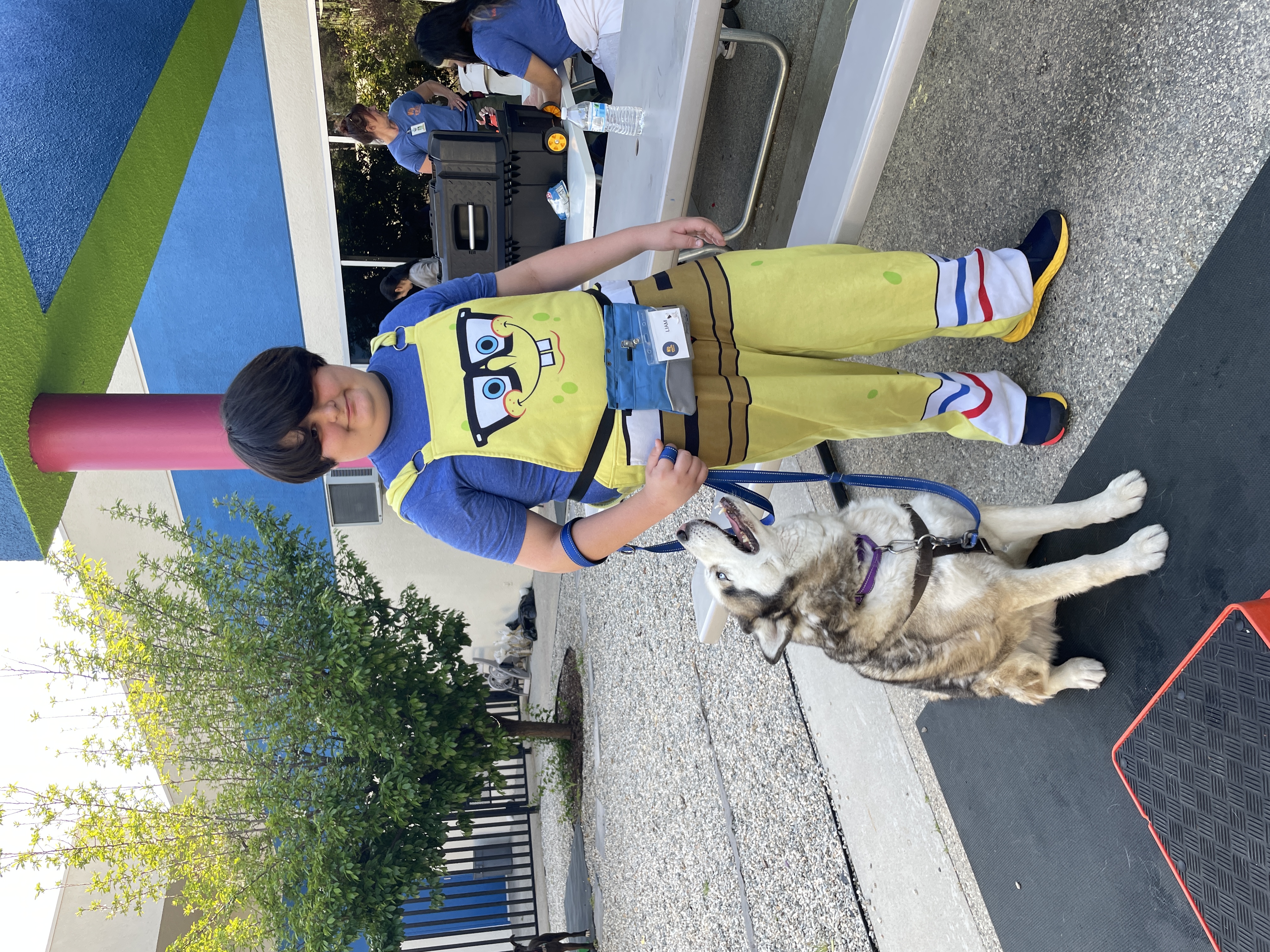 0a53964ff21ec578207ba7bf06c95a6198f25549