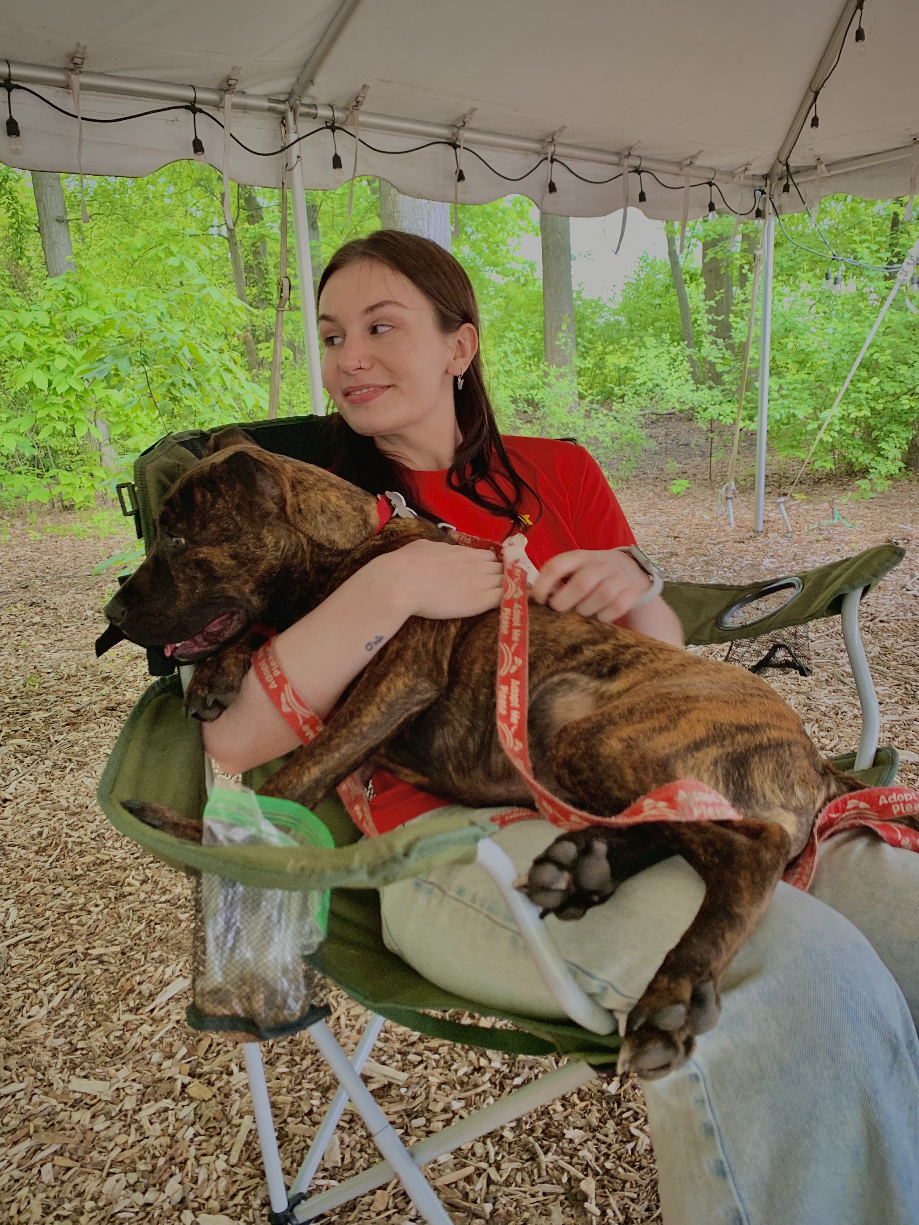 0ef22a9343329d5d50084835267d0c3e532df911