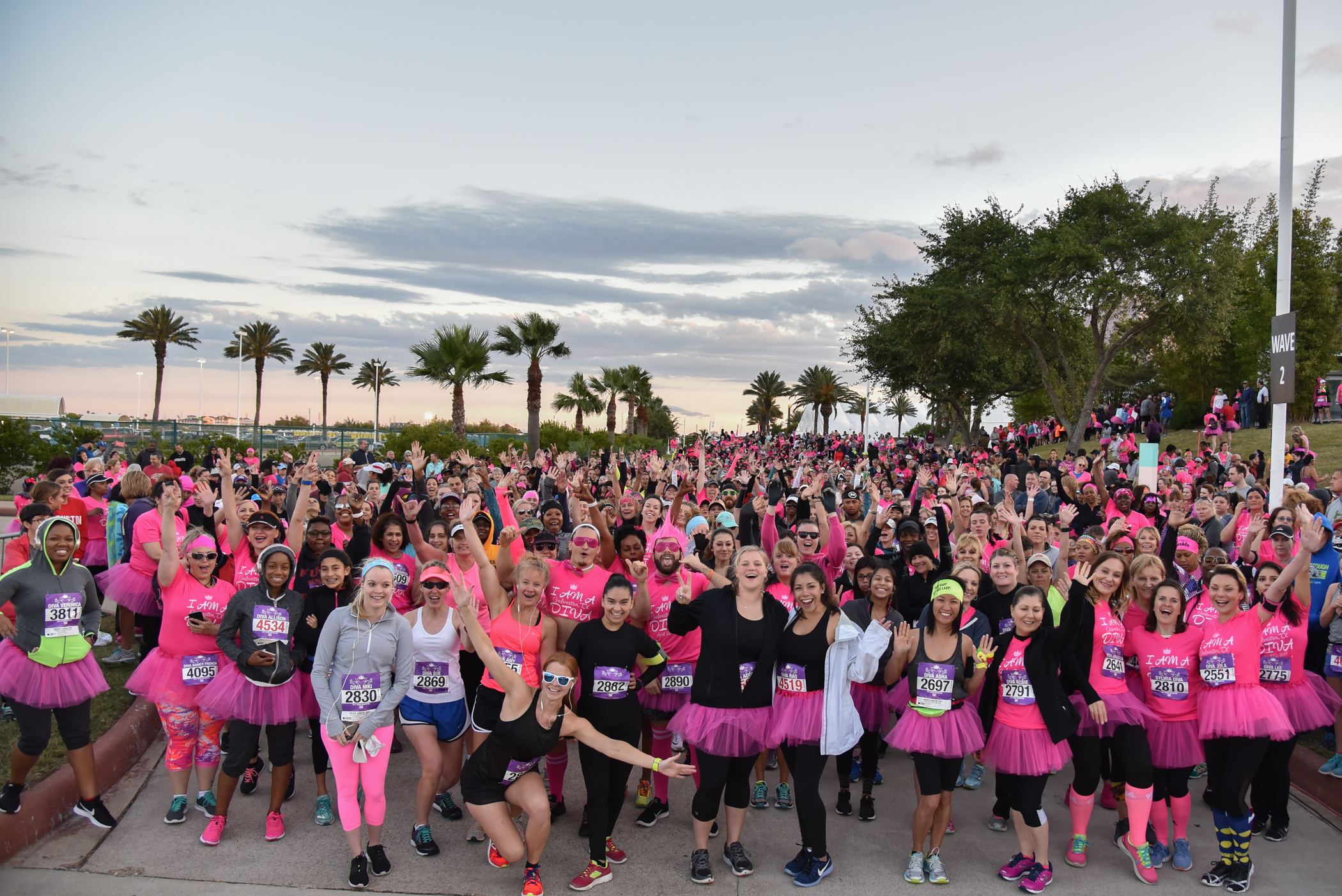 Boas, Tiaras, Tutus & 15% off!