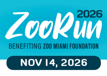 2026 ZooRun