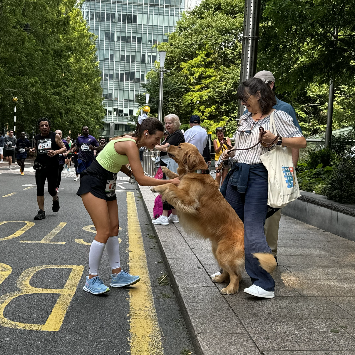 1b90d142f1ef6f4ca3df86c453ec29c56e54c9dd