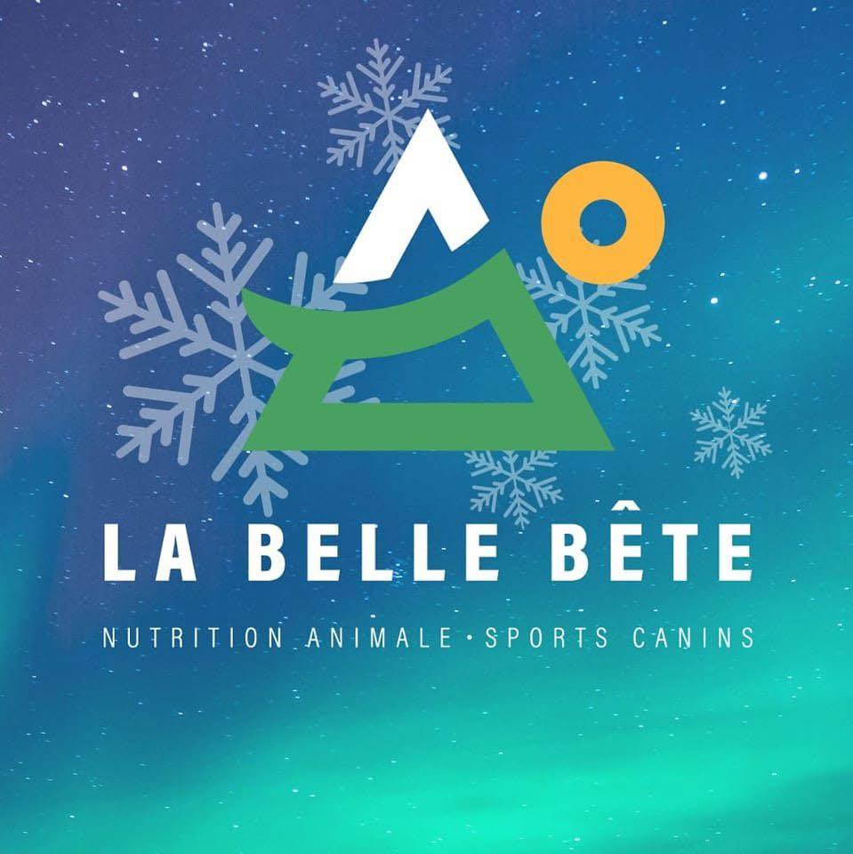 Course hivernale la Belle Bête
