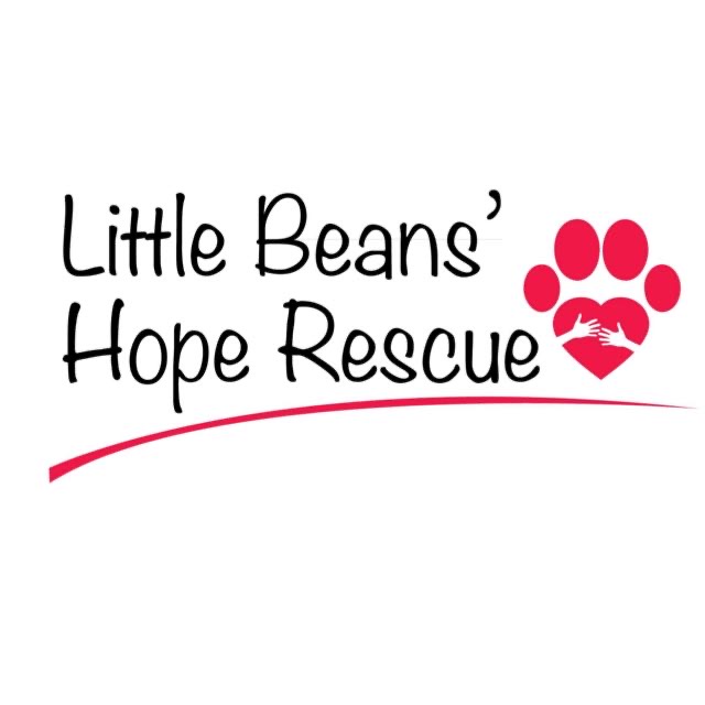 226b82218a79832712530480f52fd5dc549b1191